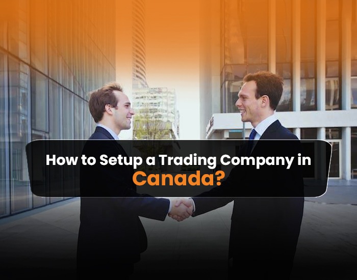 How to Set Up a Trading Company in Canada: Complete Business Formation Guide